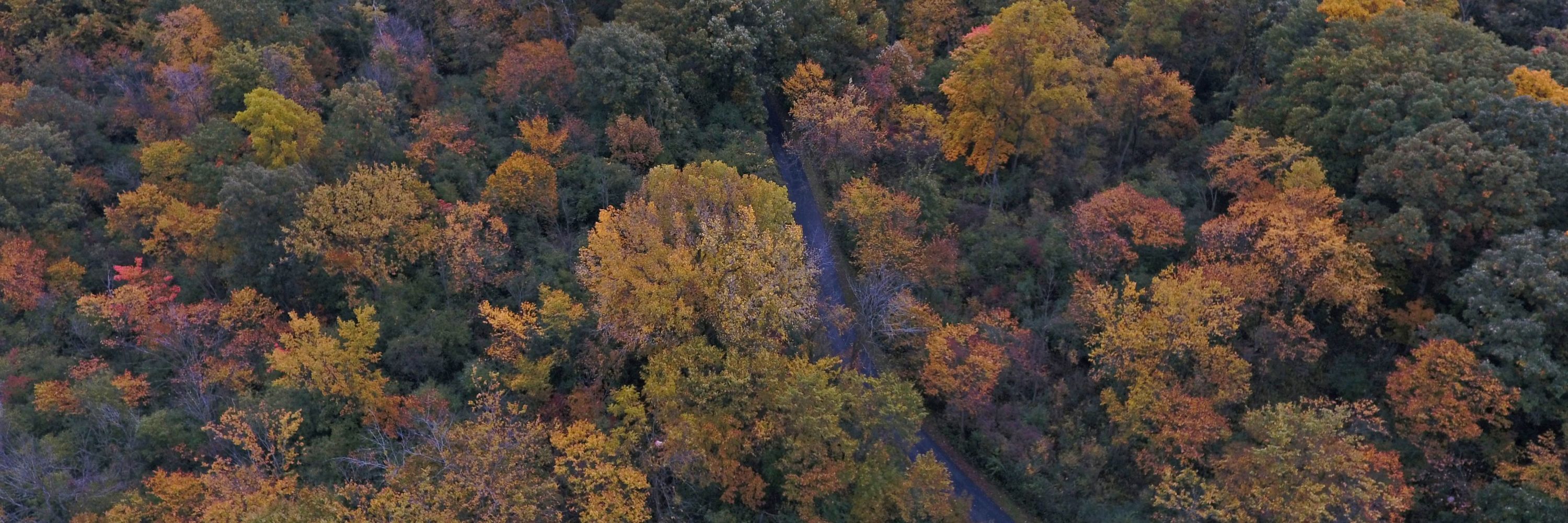 Forest Preserve District of Will County