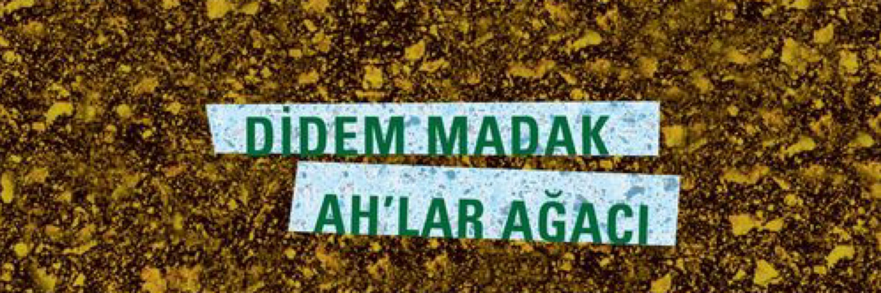 Didem Madak