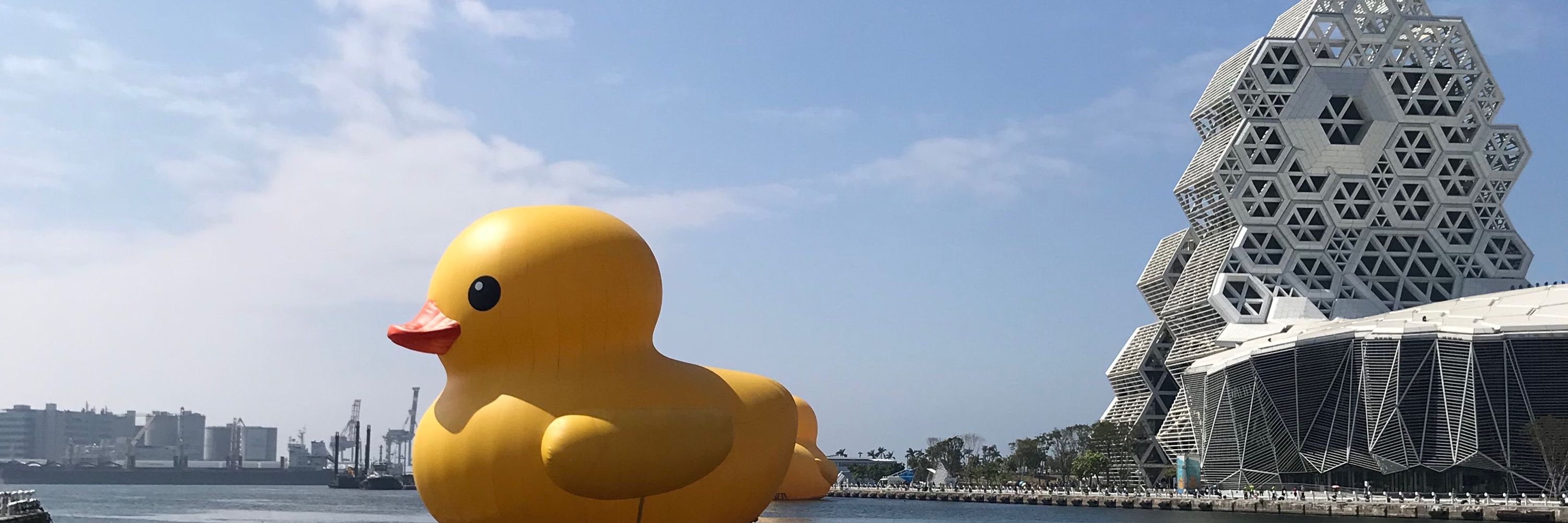 林宥岑