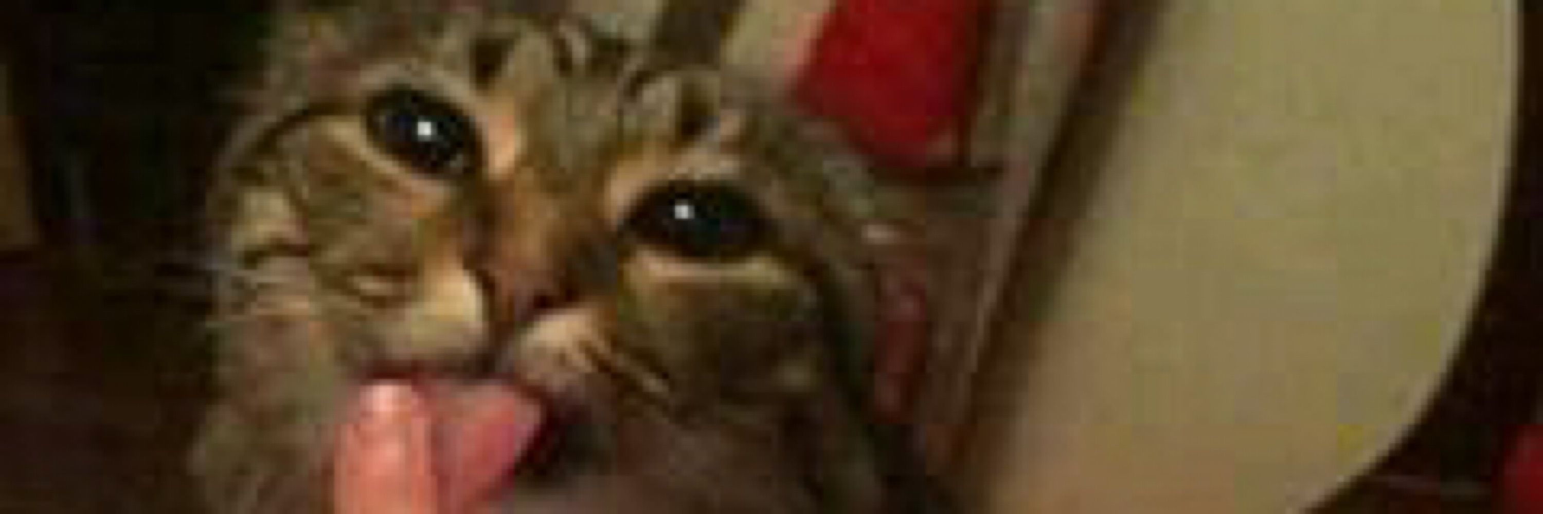 L’