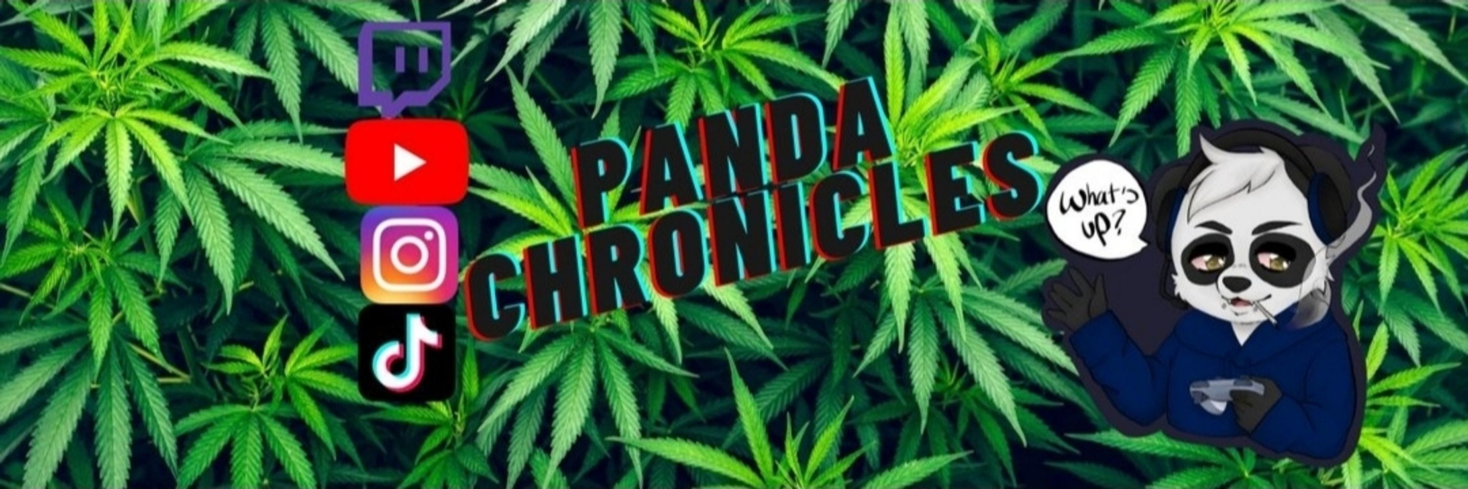 Panda 🏳️‍⚧️ (he/him)
