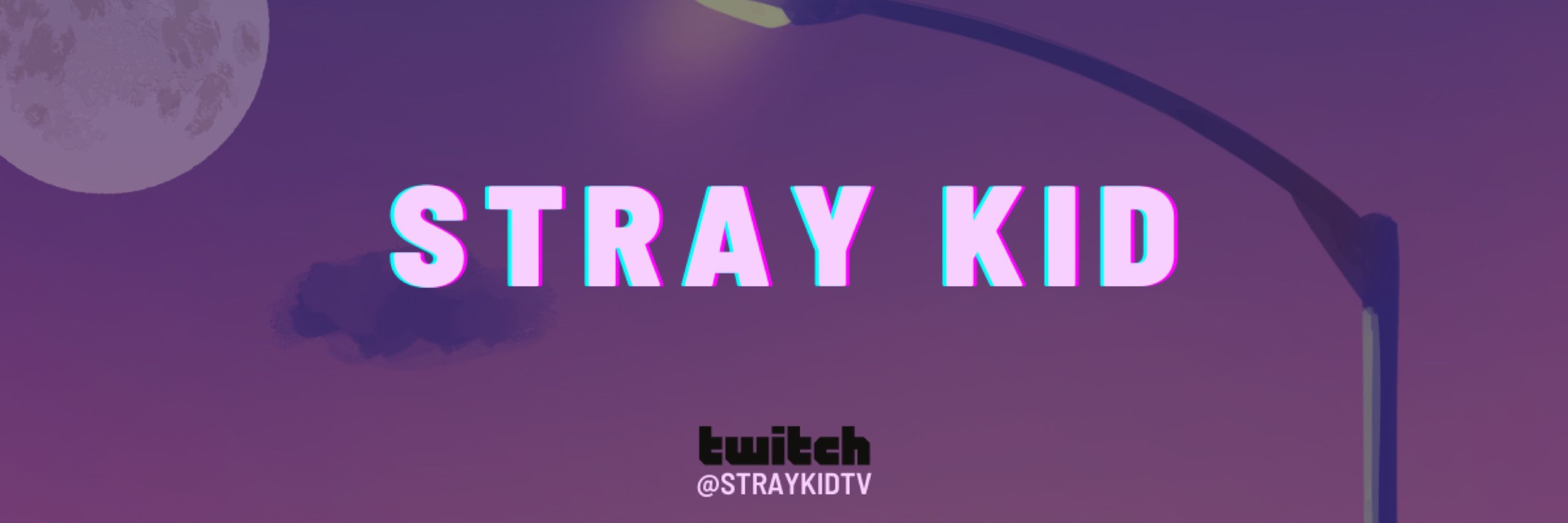 stray kid