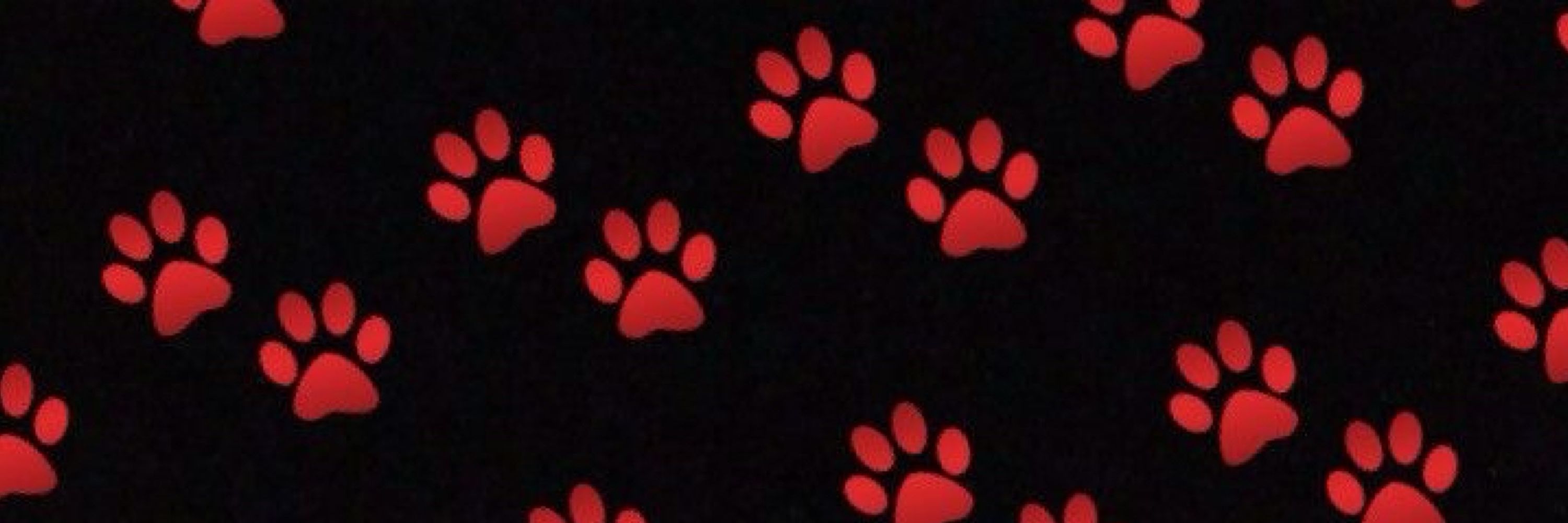 🐾Vinny🐾