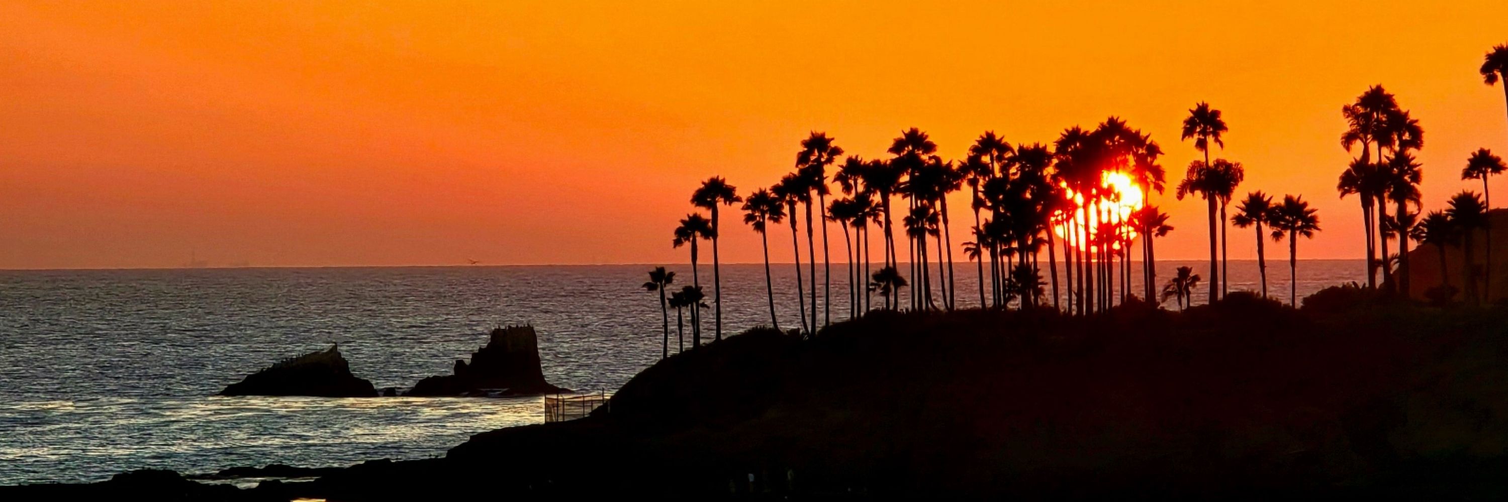 Gee LB, CA