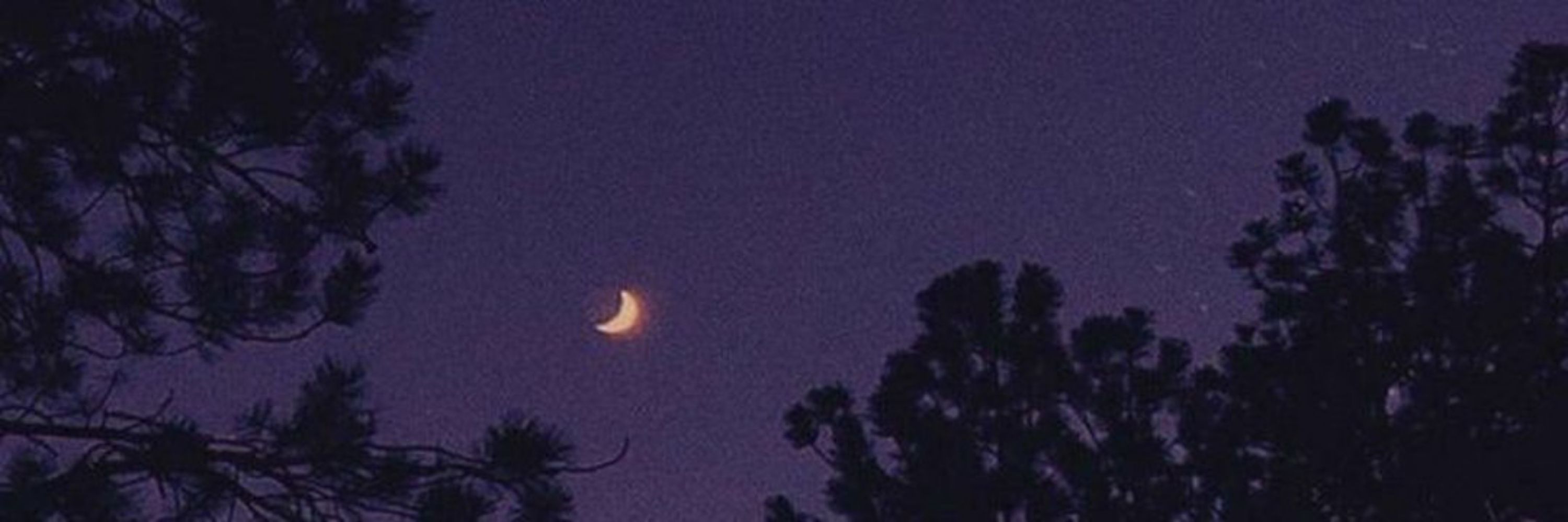 𝕭 ☪