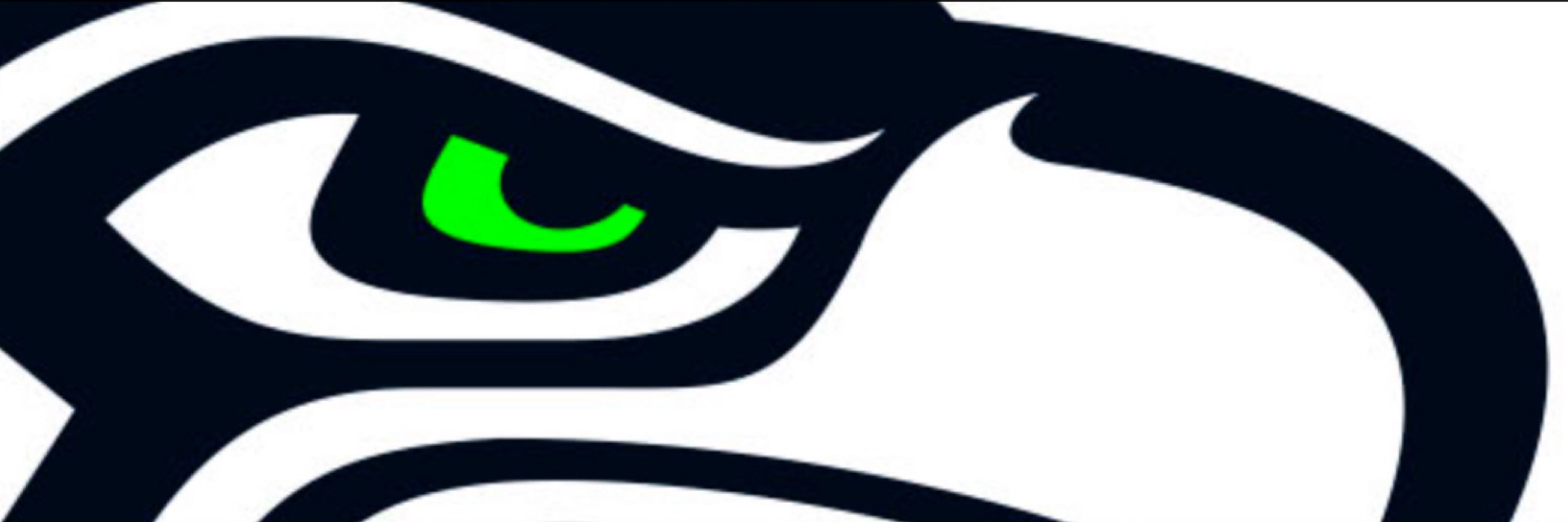 Seattle Seahawks BR