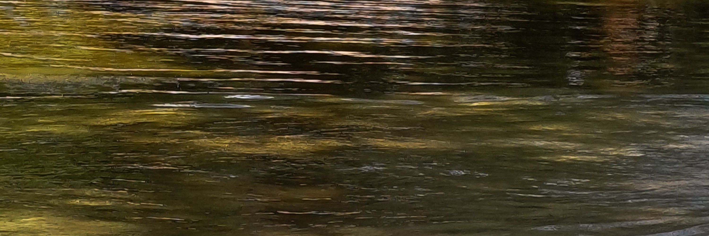 𝓃𝒶𝓃𝒶
