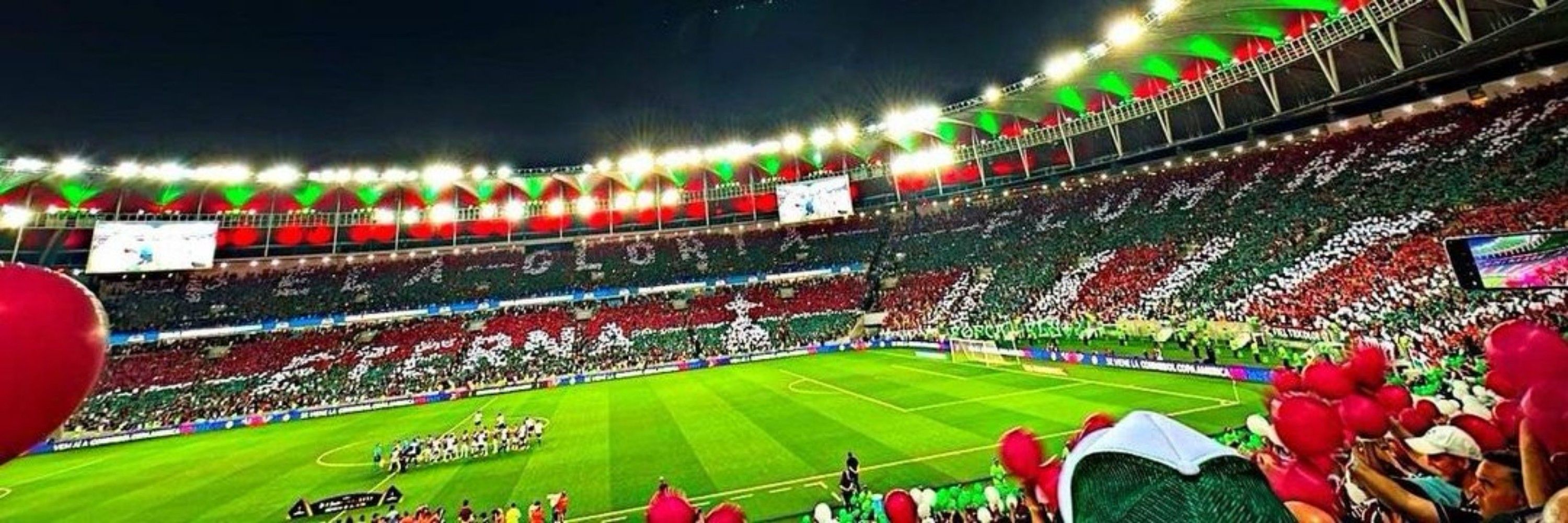 o Dinossauro que apoia a Palestina🇵🇸