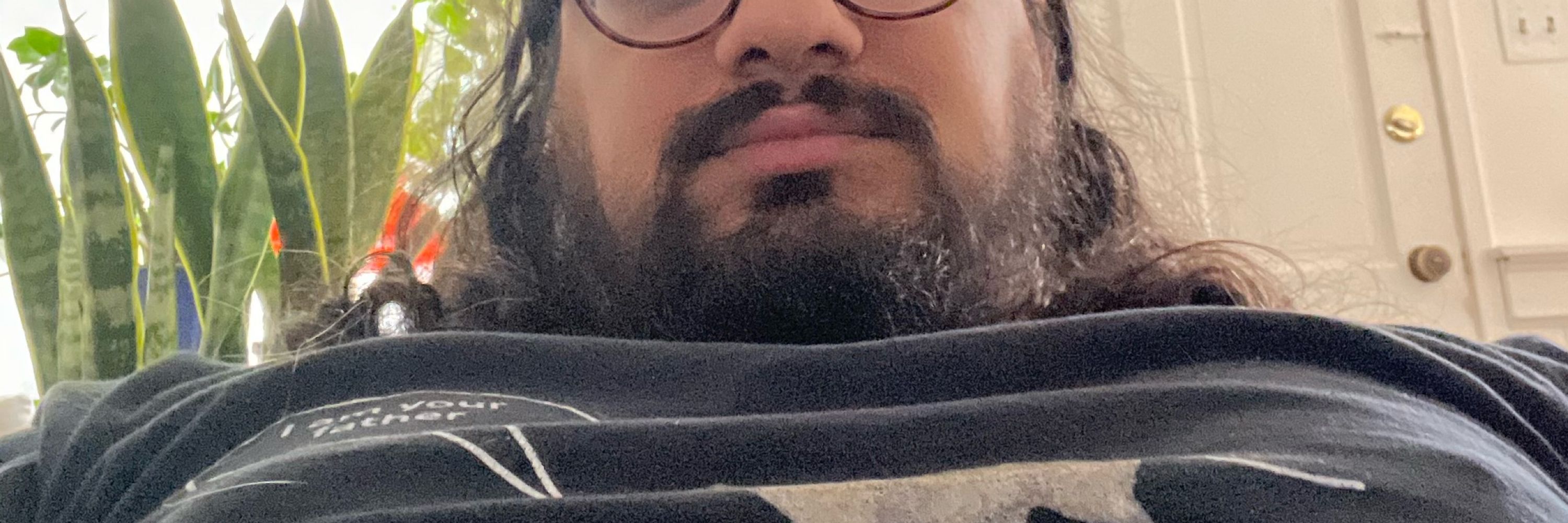 amir