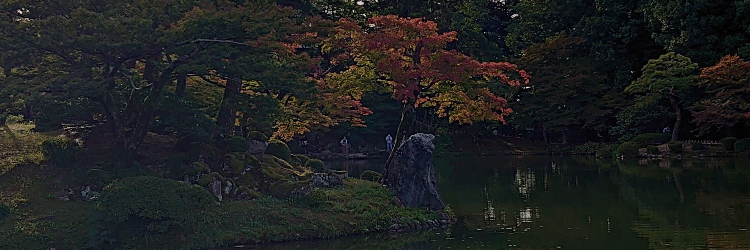 てて_株式会社ROC