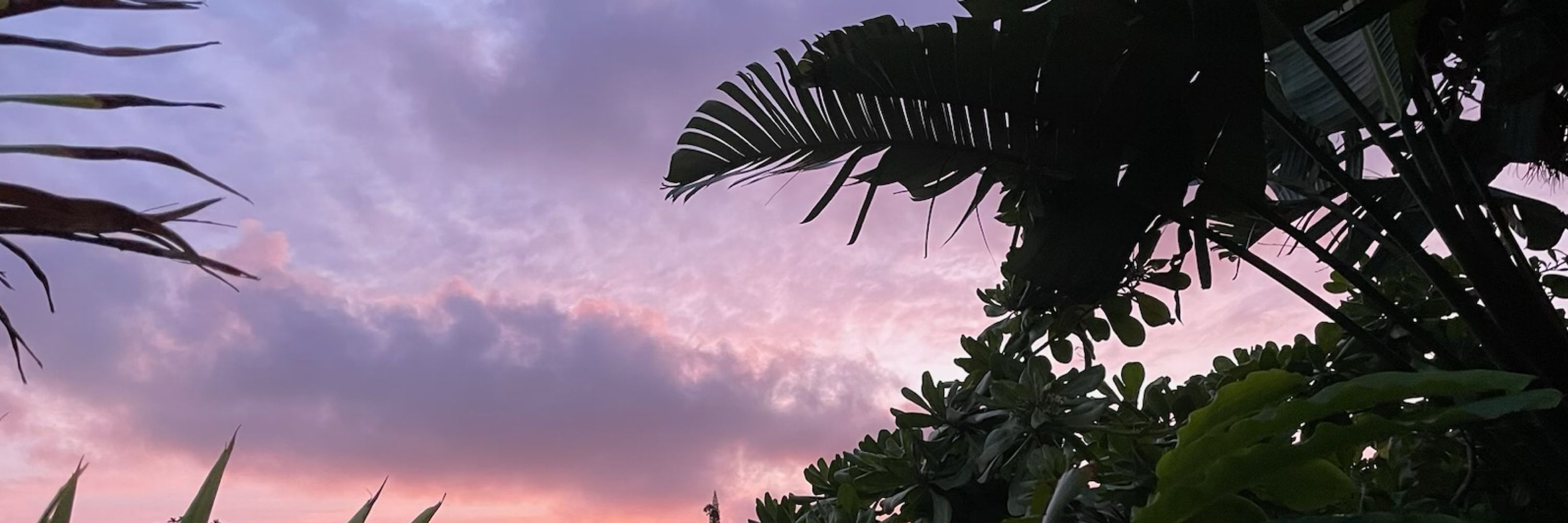 Kanela
