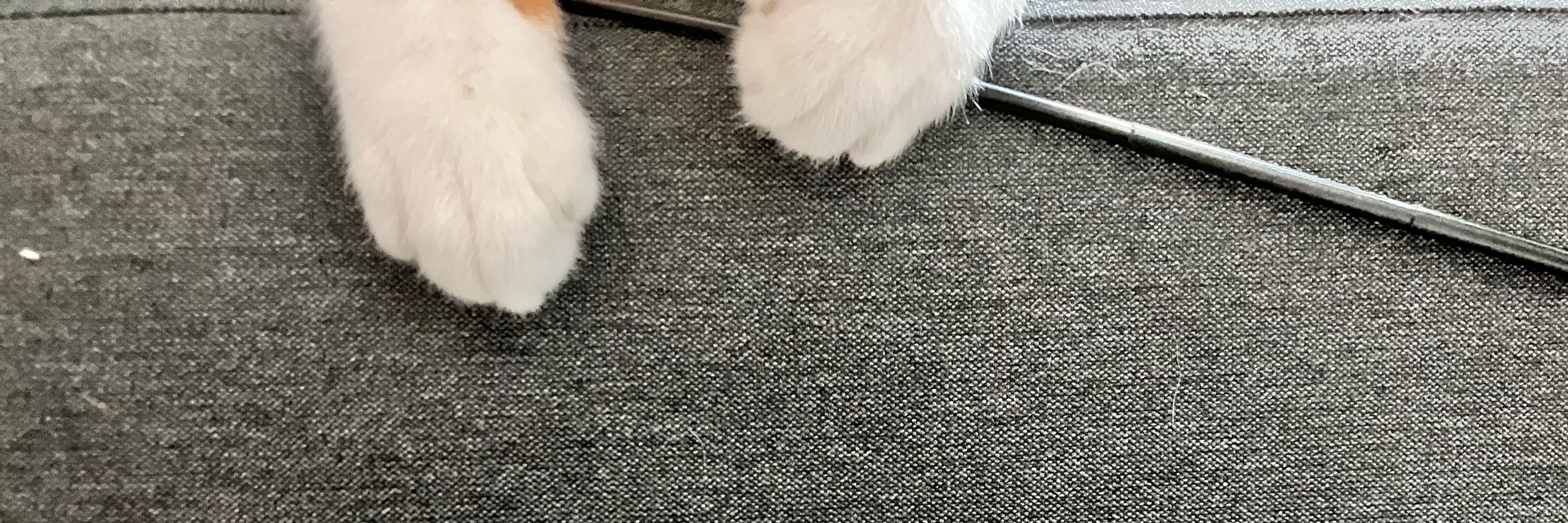 ひるやすみ