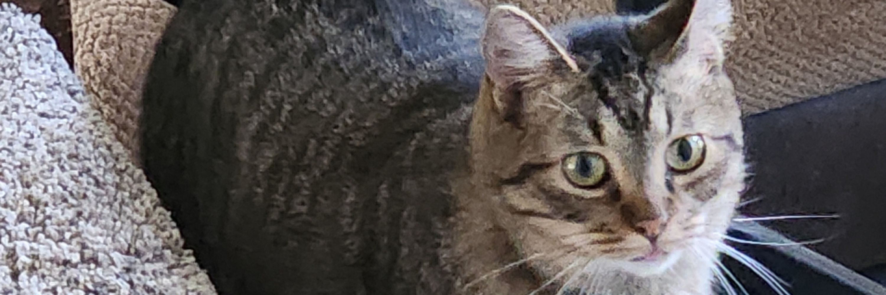 Sam