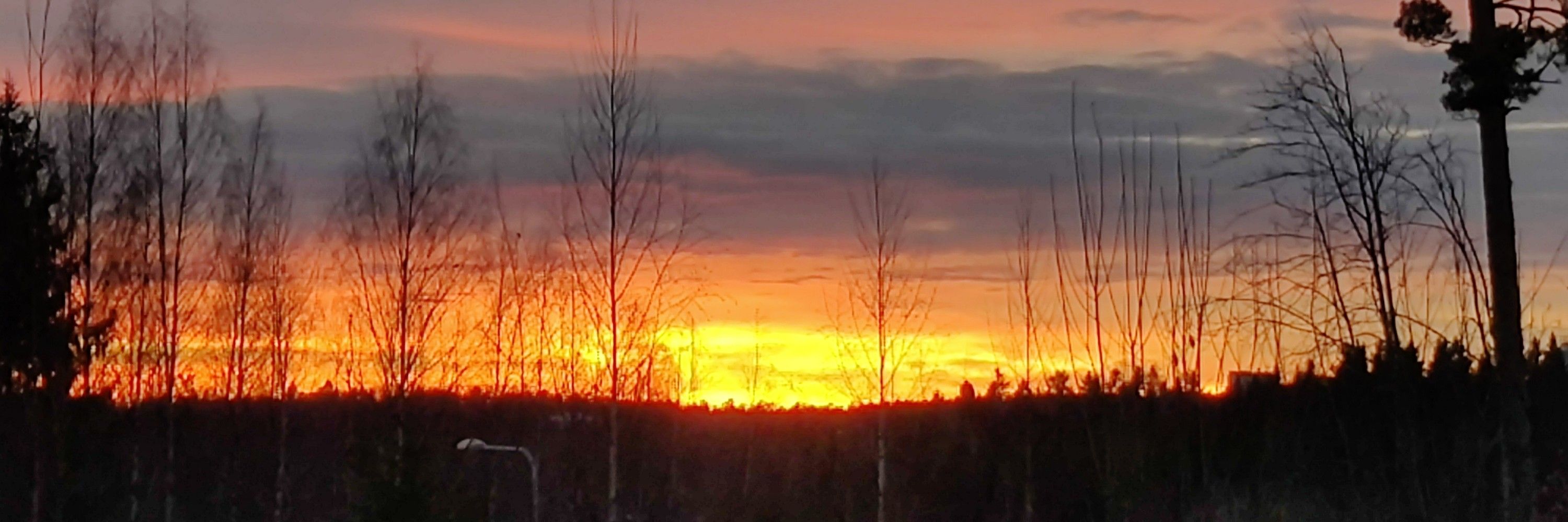TepiKoo🇫🇮