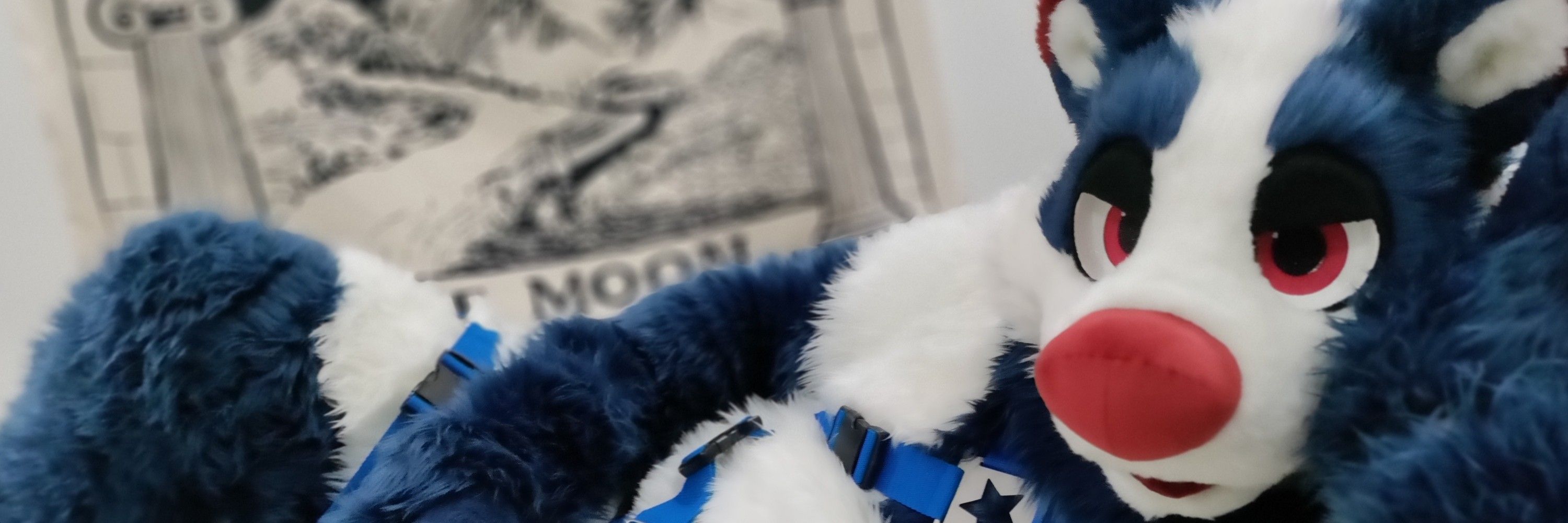 YOX THE BIG BAD BADGER