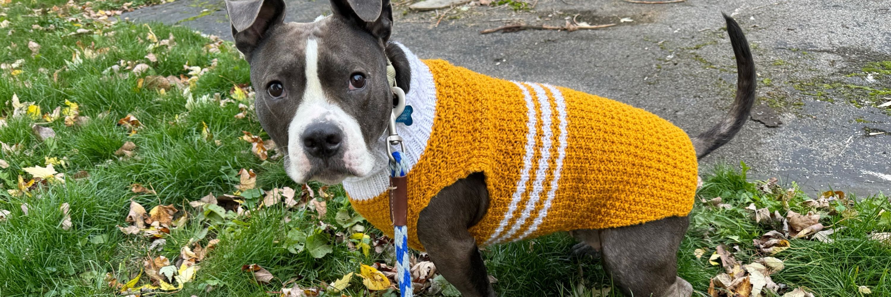 Yarn Gardener