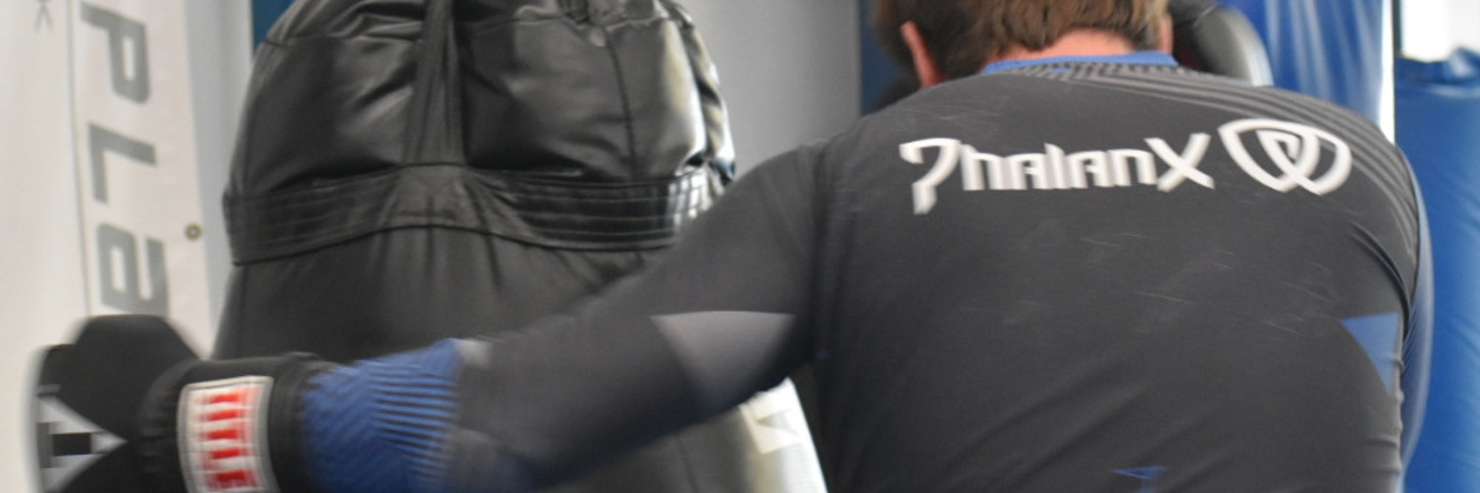 David, Historian Martial Artist