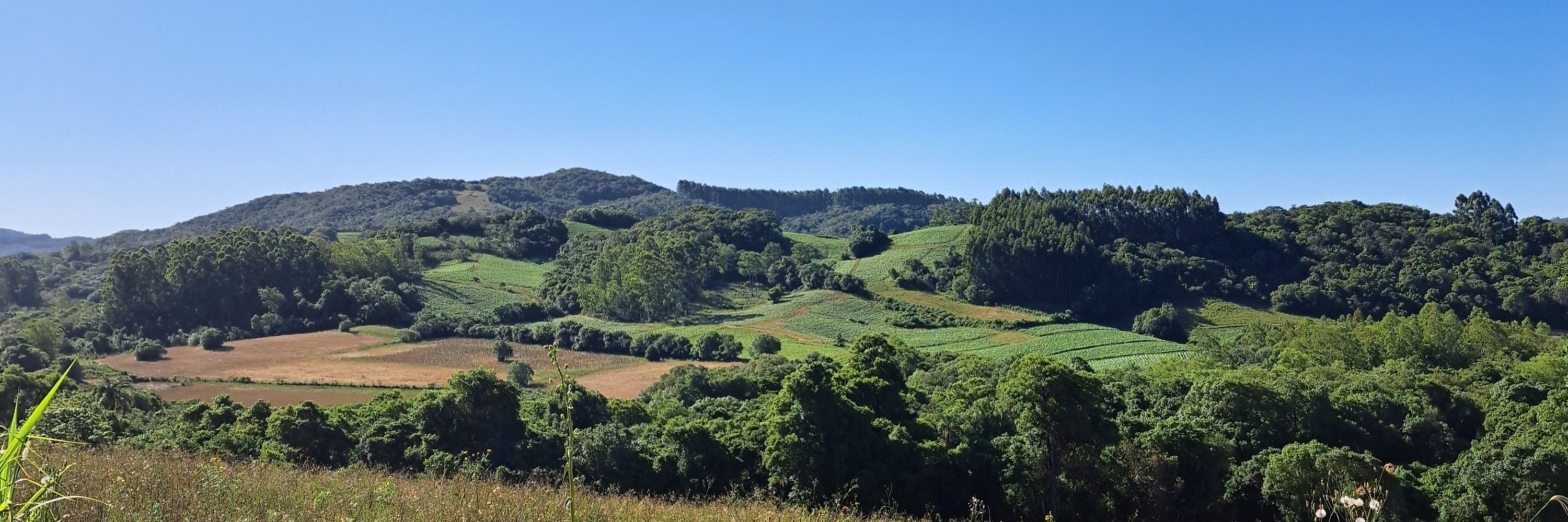Rubira 