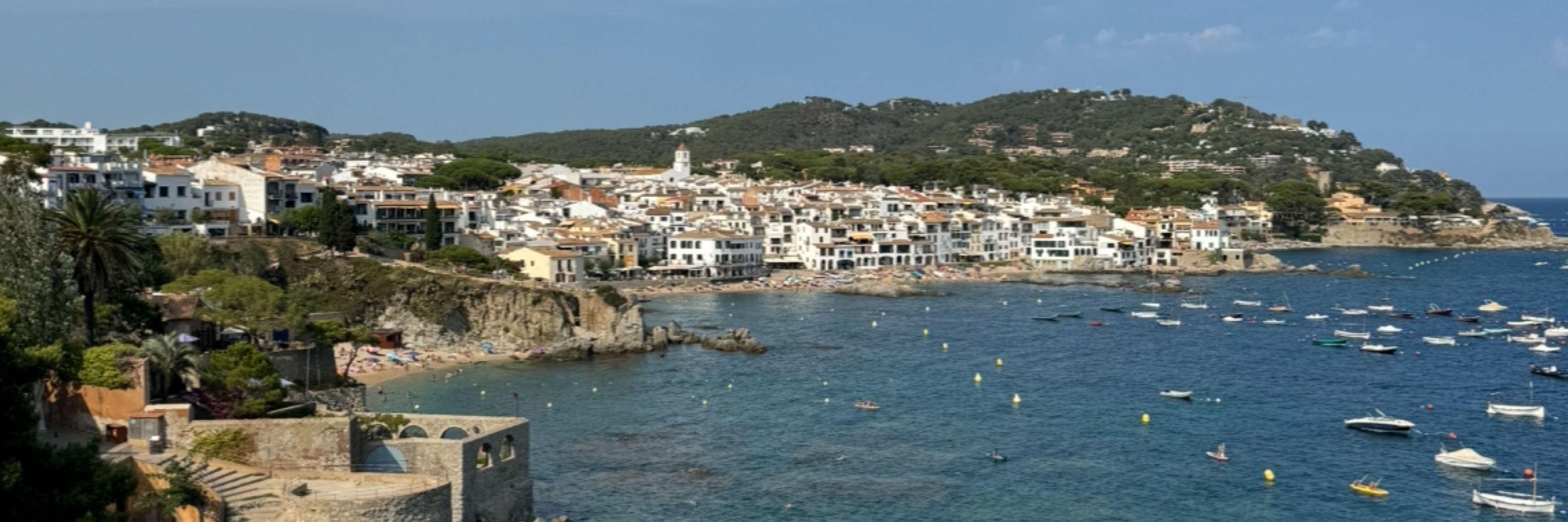 Alba Pasquina