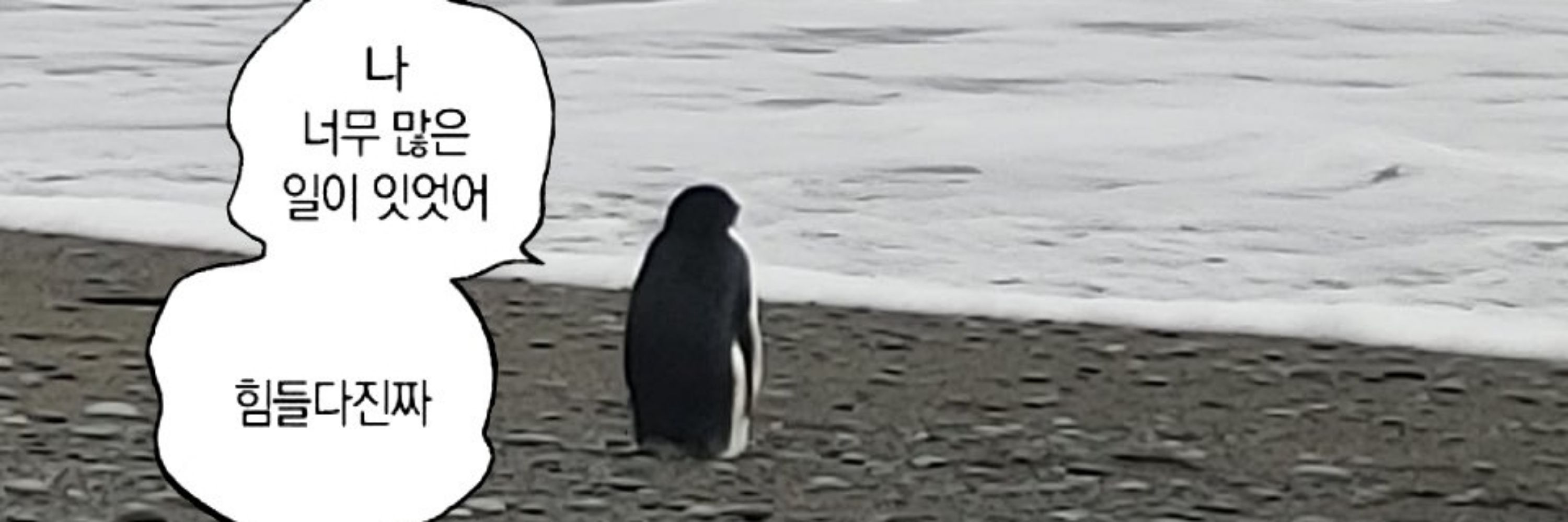 우지