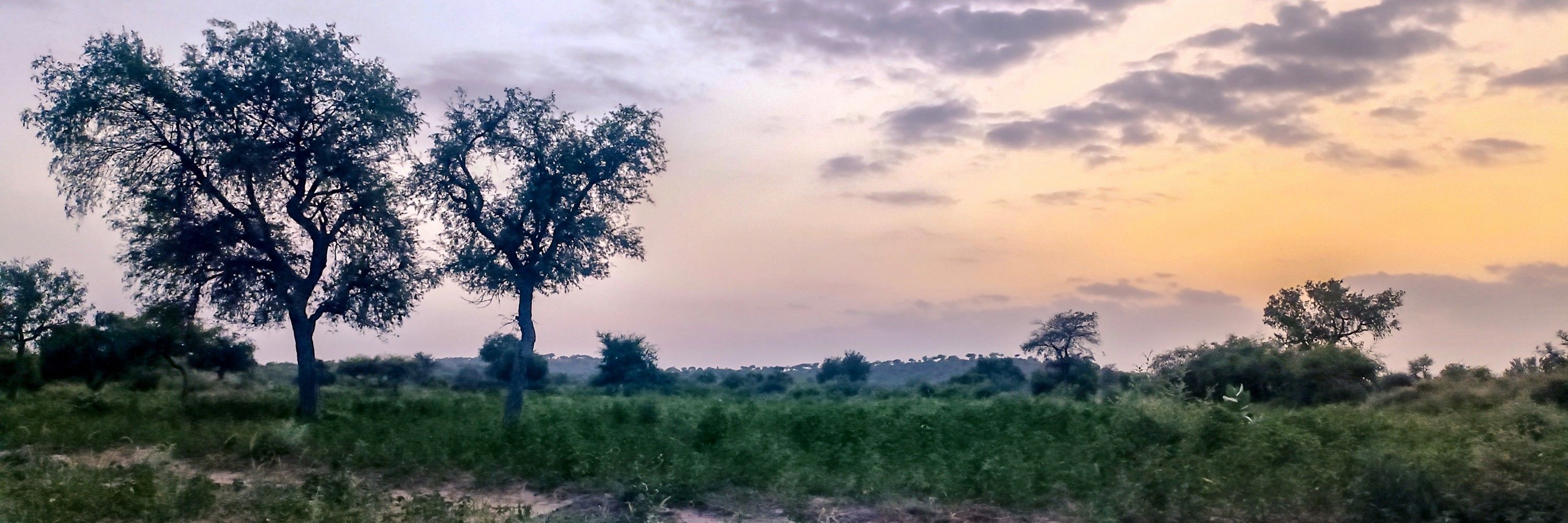 aamir 🦋