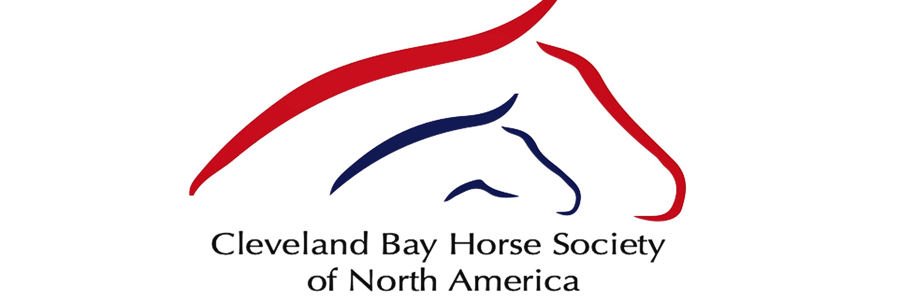 Cleveland Bay Horses