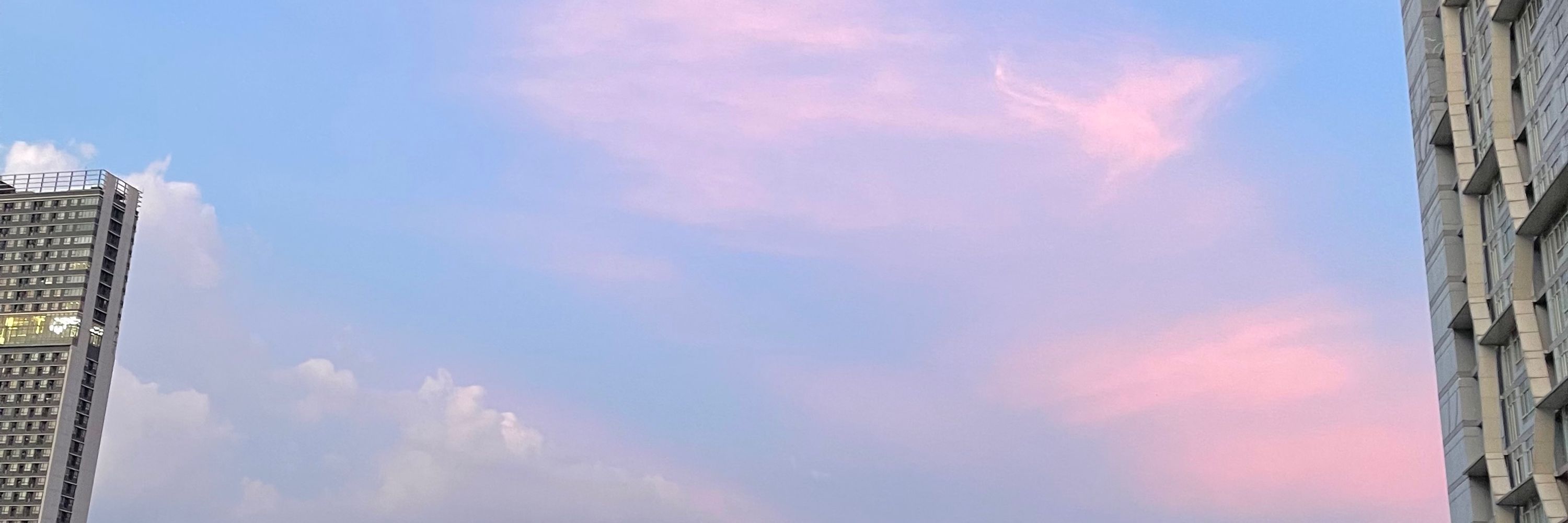 🌷แคนวาสจุงวอน🍊🫧
