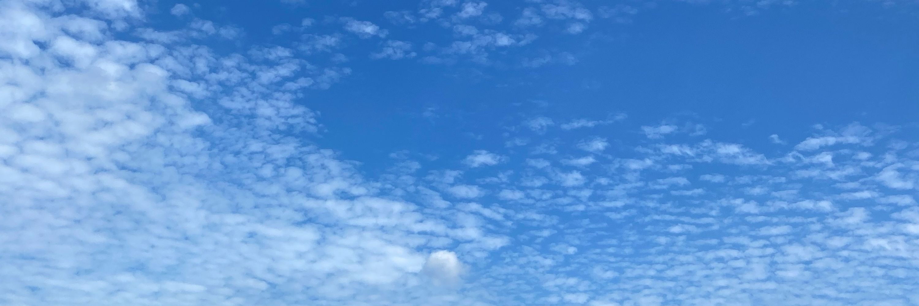 眼睛小 一一 ||| 
