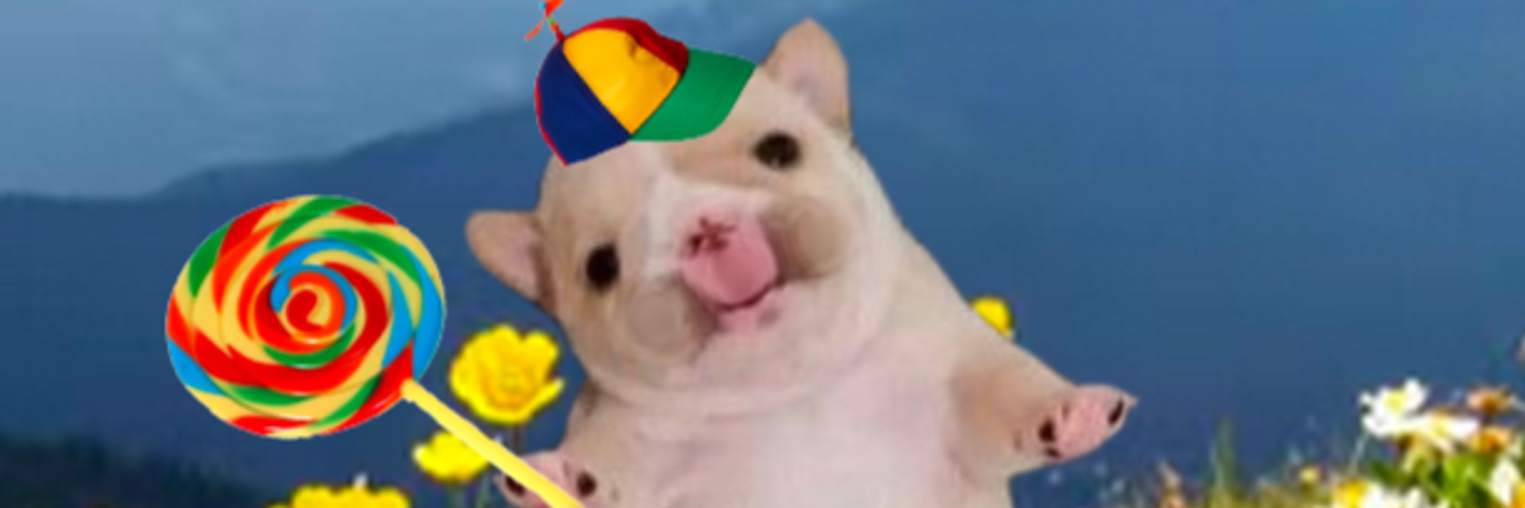 Koiroppi