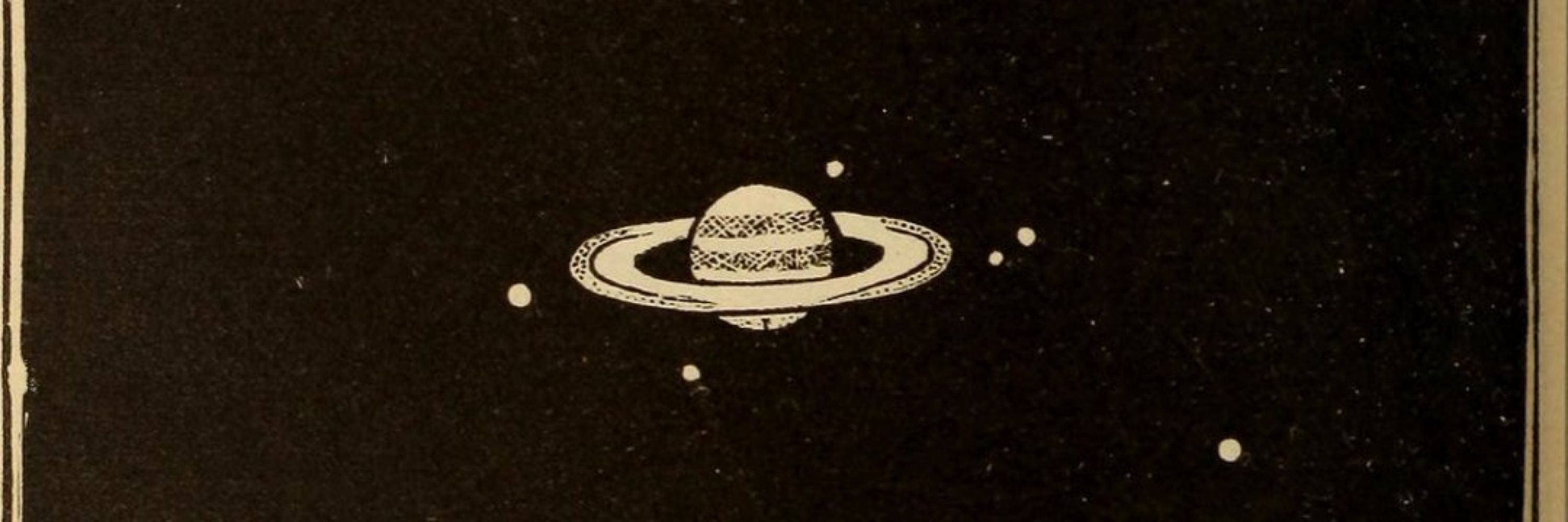 vigia