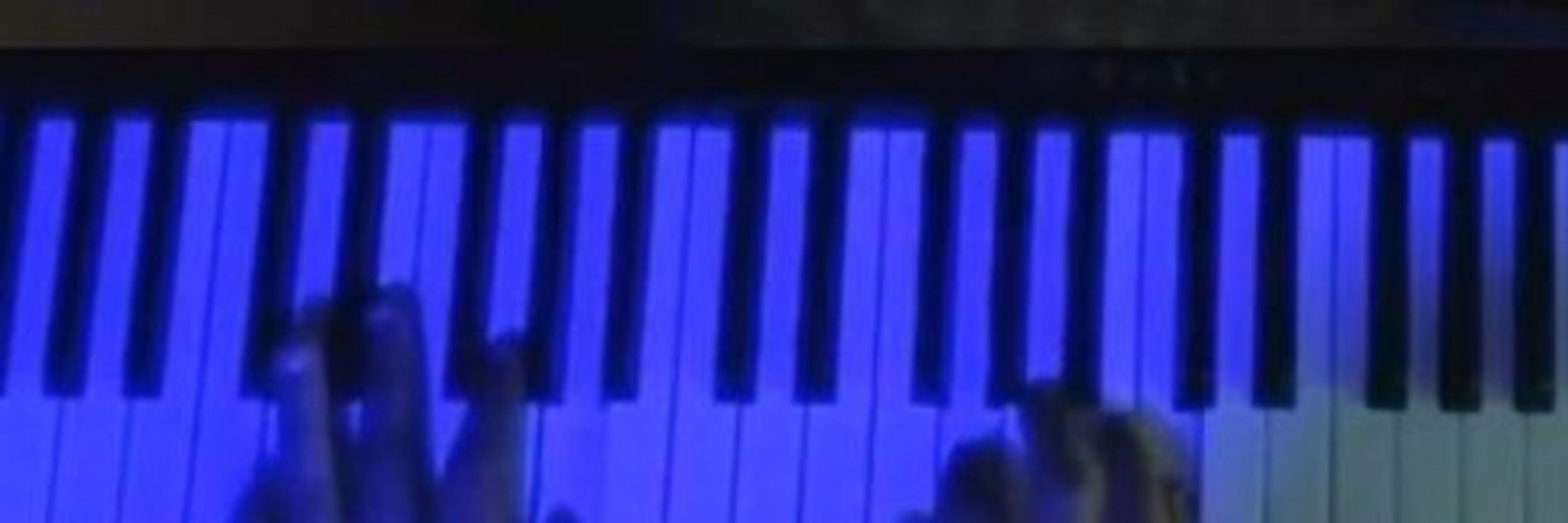 🎵 L.E.Vator 🎵