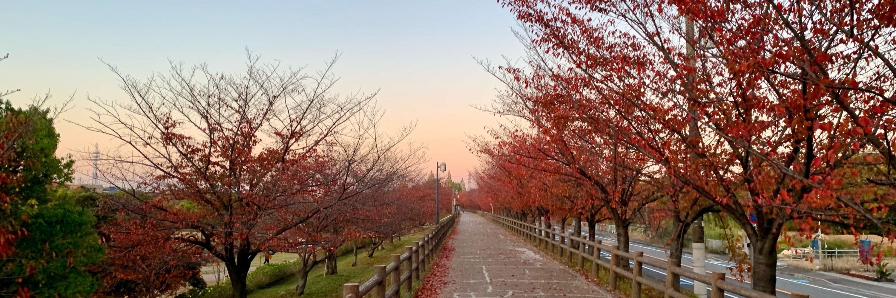 岩本