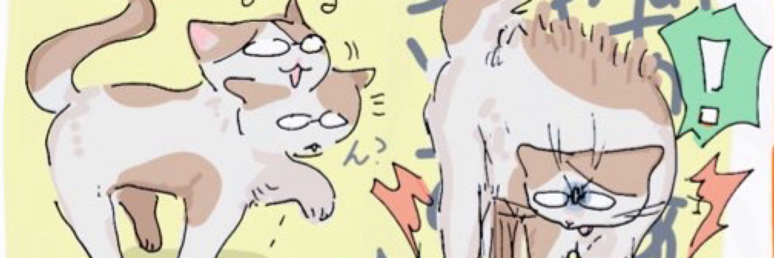 おい