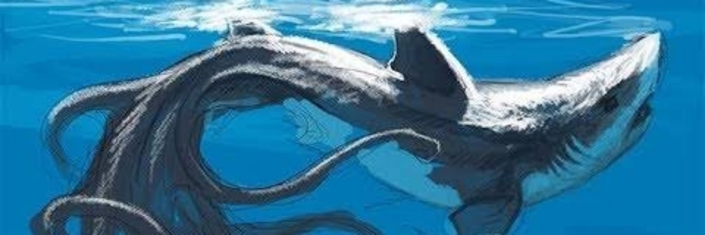 Lusca Sharktopus