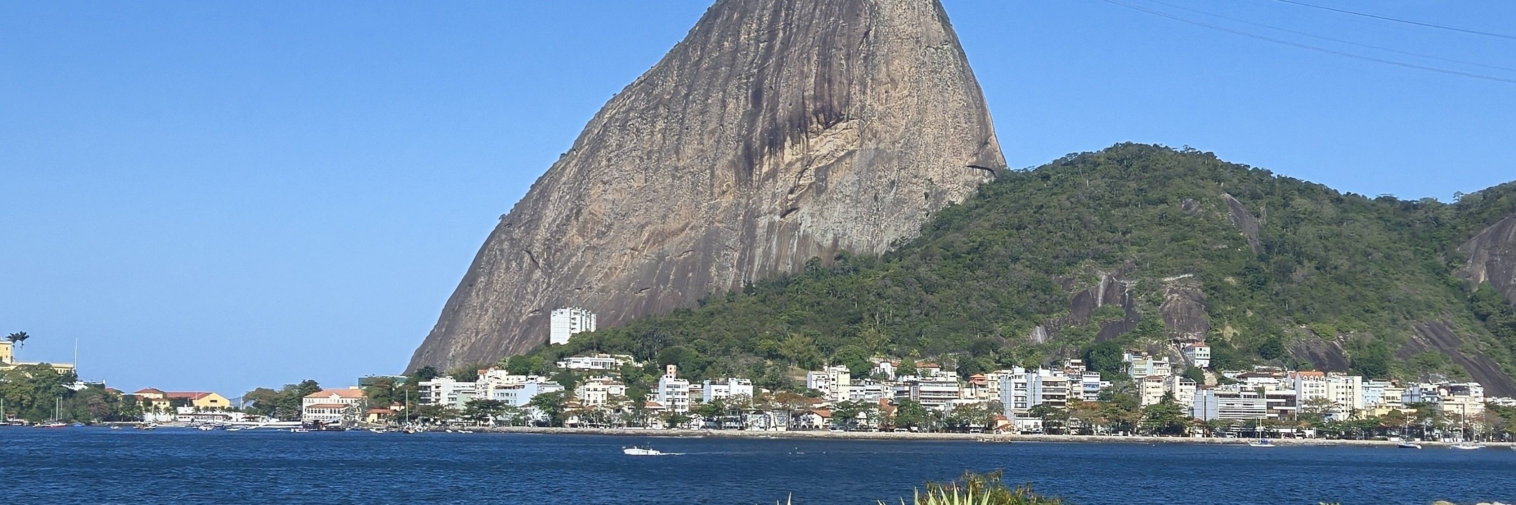 igona