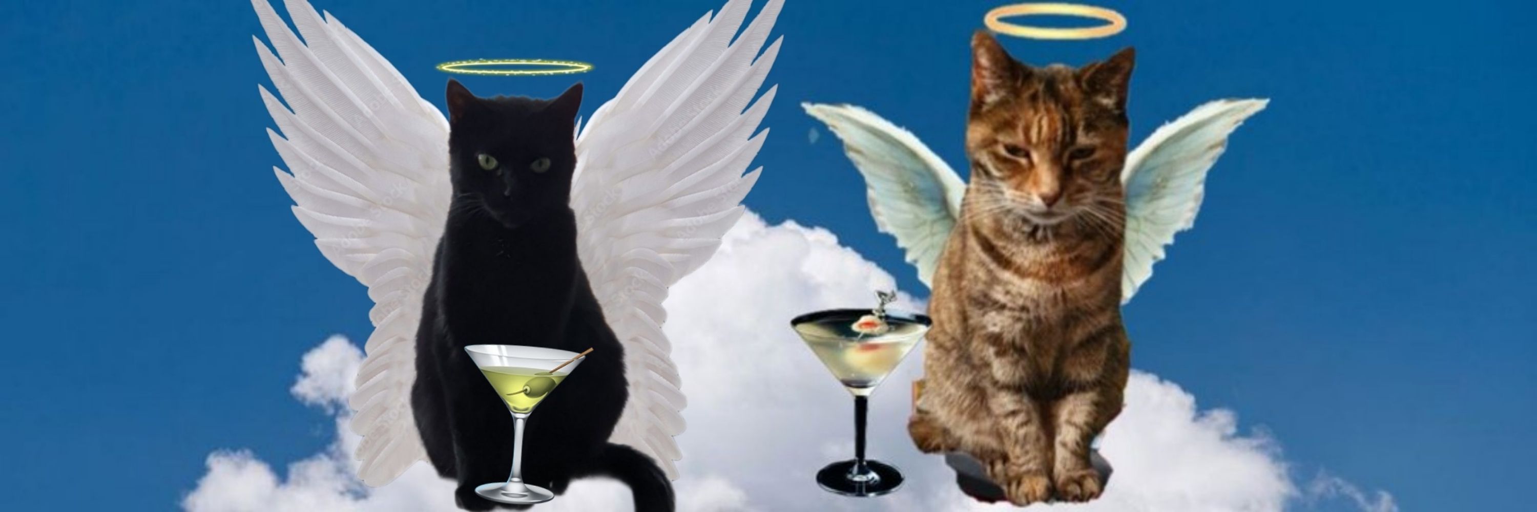 Hamilton, Bandit and Angels Layla and Tinky