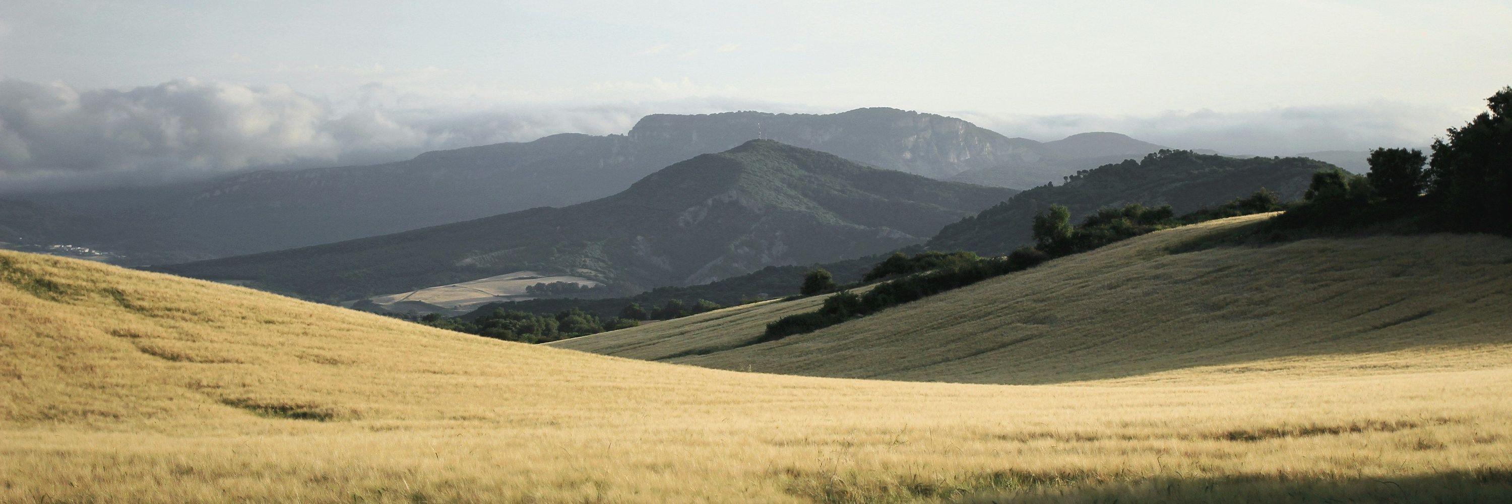 Road to Santiago
