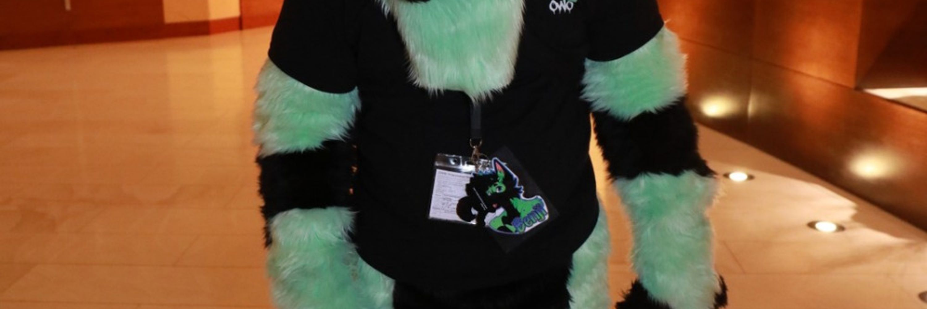 BenjiTheWusky