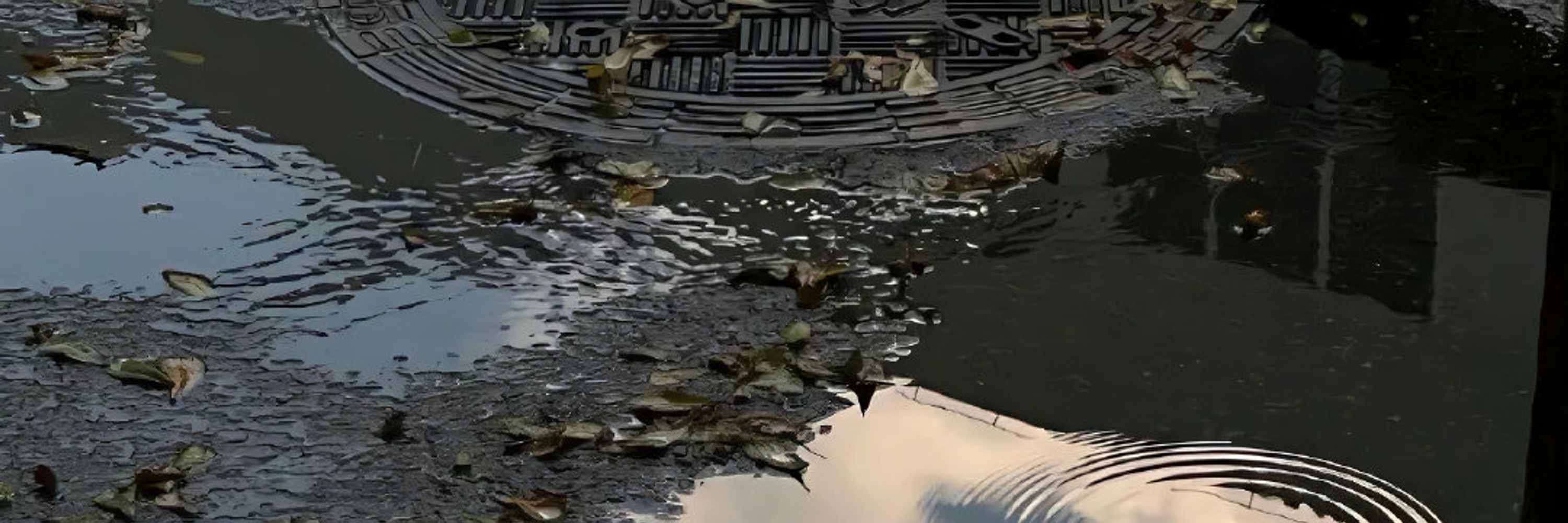 水母沙拉