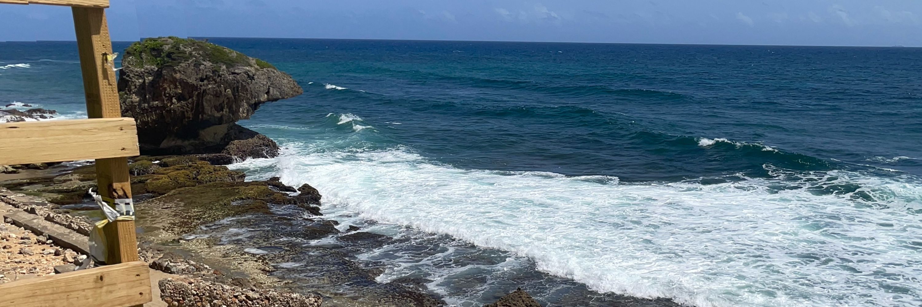 Blue Wave Surfer