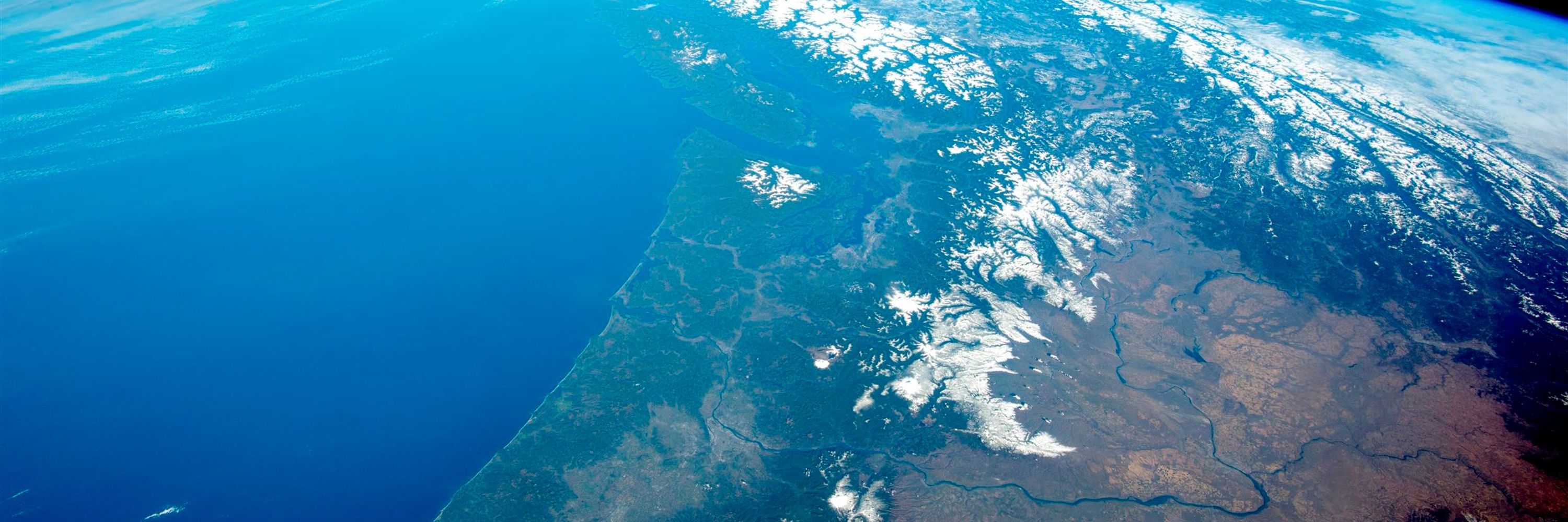 WestCoastVet 🇵🇸🇺🇦