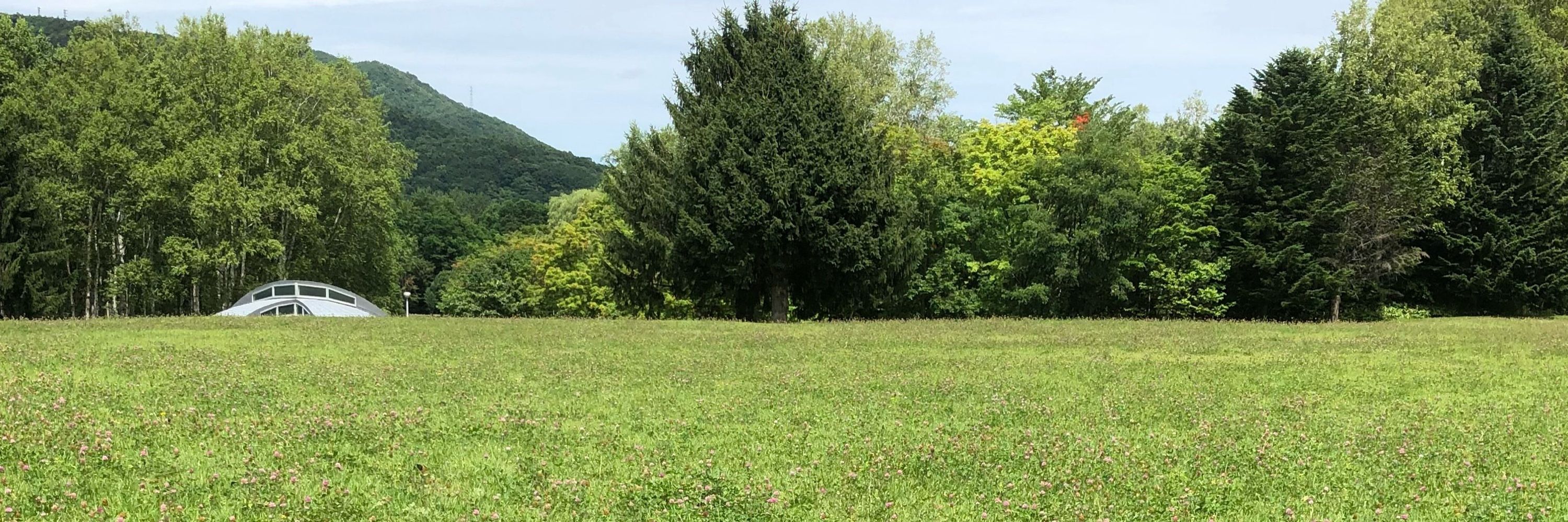 鉢割れ