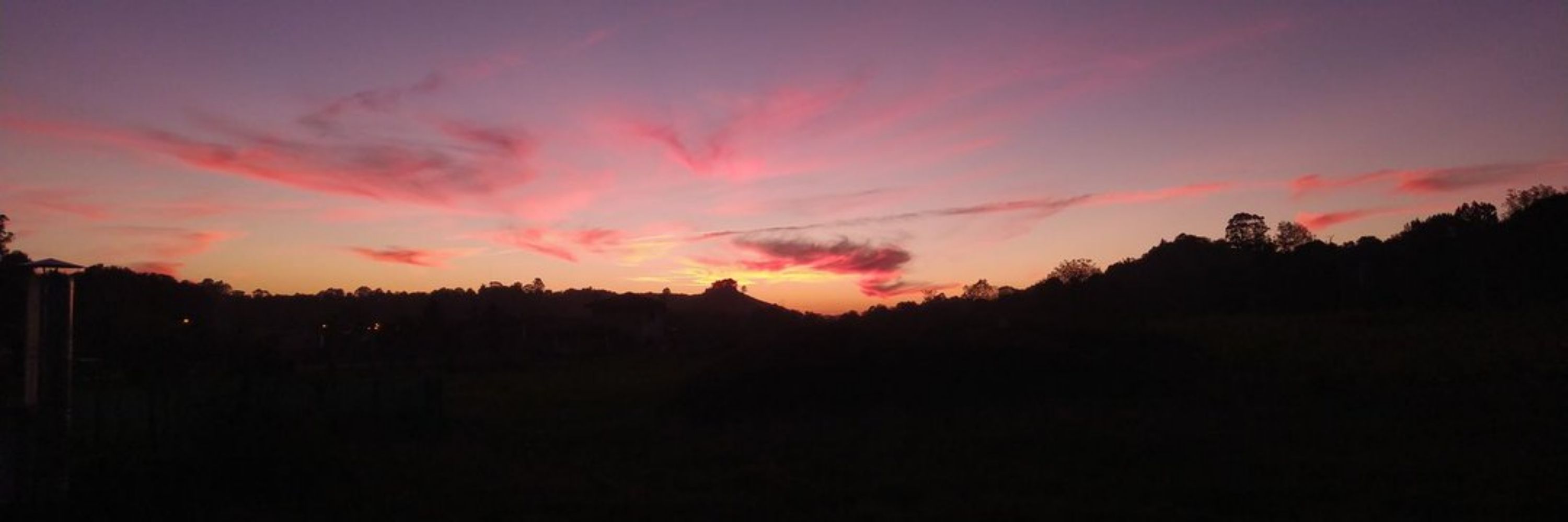 Pau