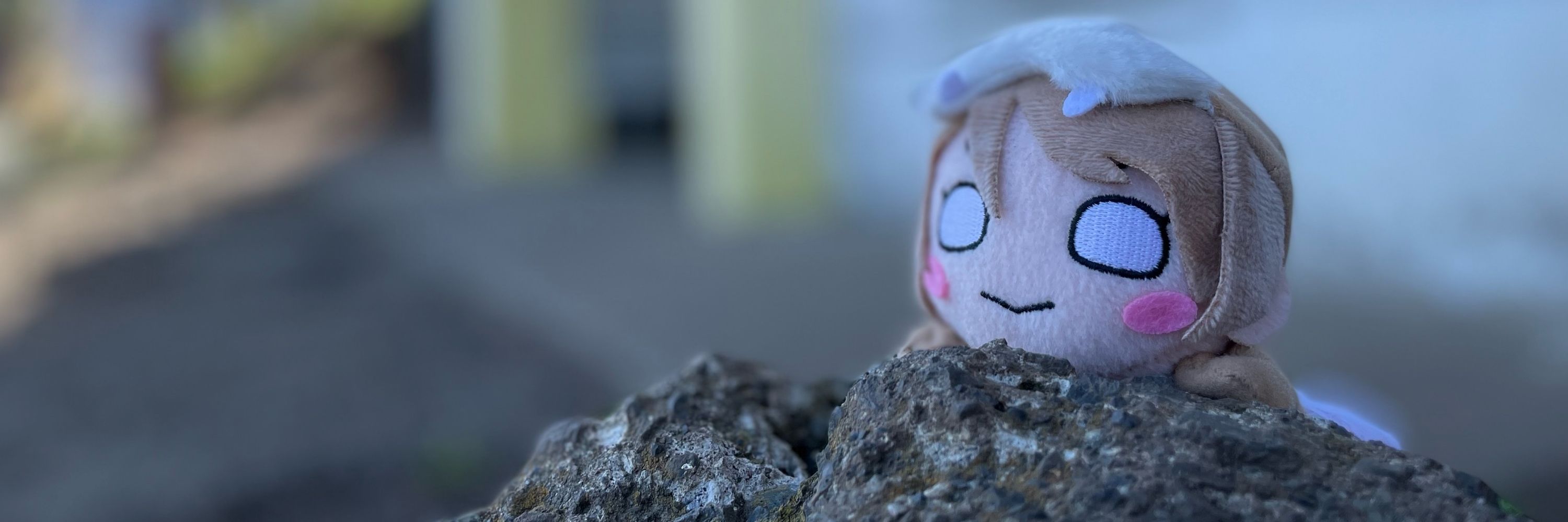 ぽん吉