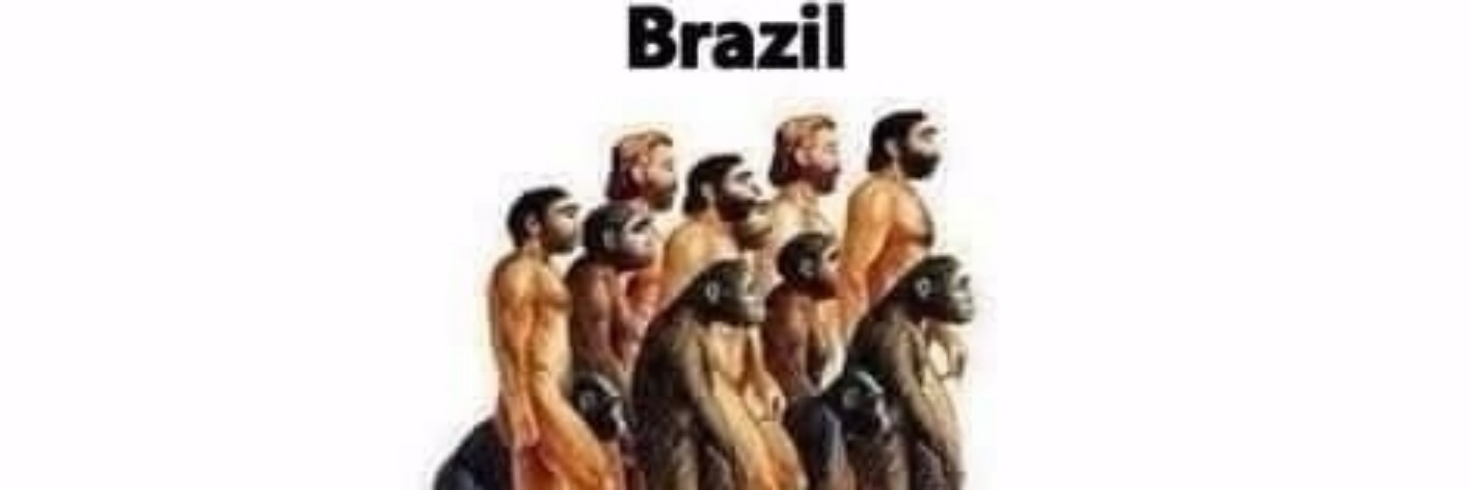 Bostileiro Sapiens
