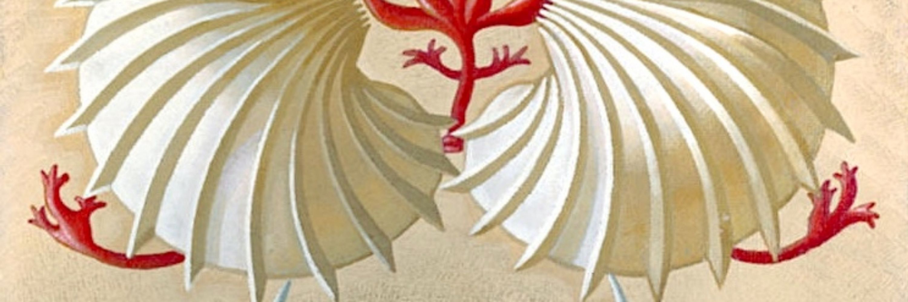 Evitha IL