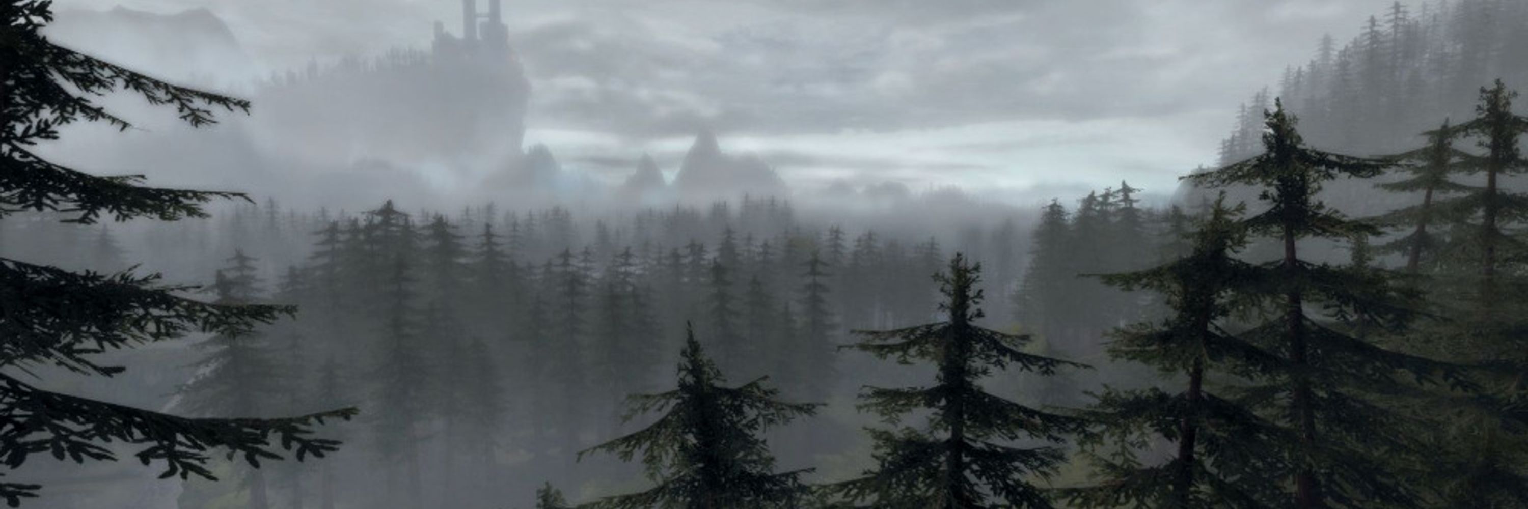 moldwood