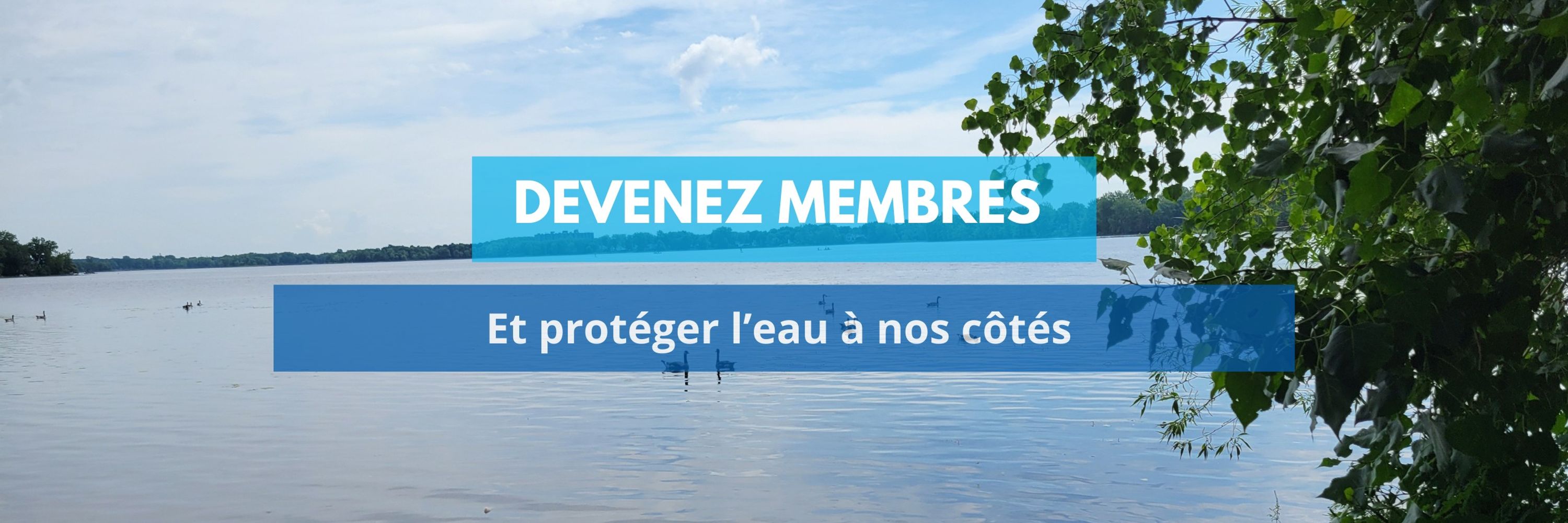 Conseil des bassins versants des Mille-Îles