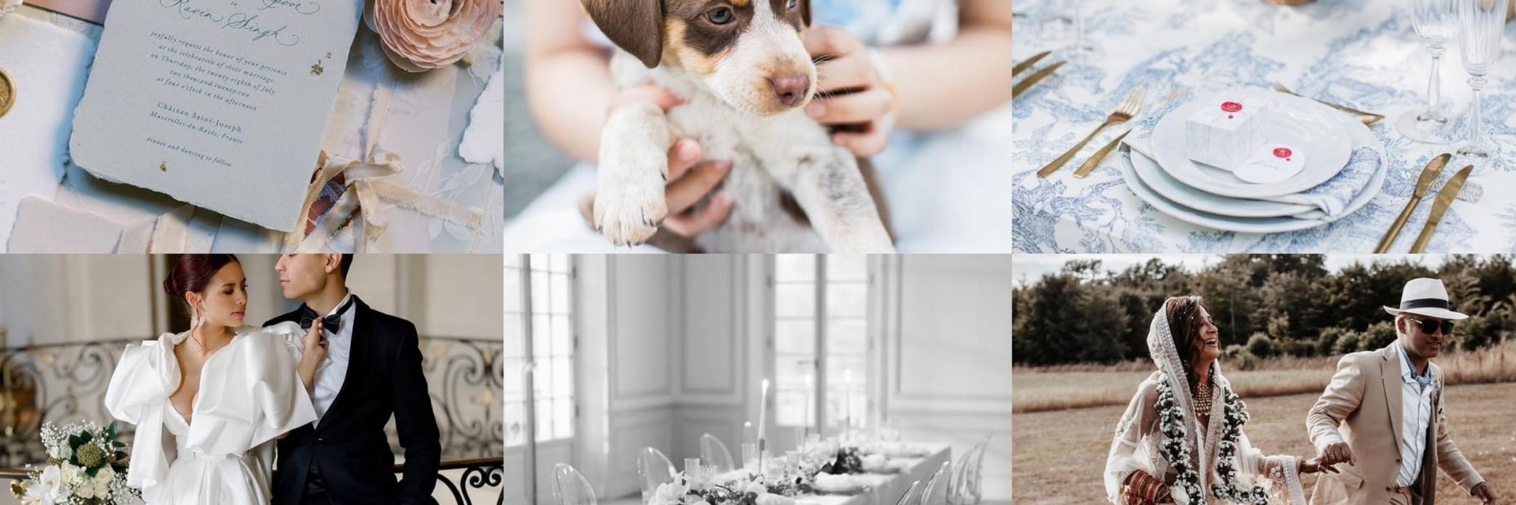Bebono Destination Weddings
