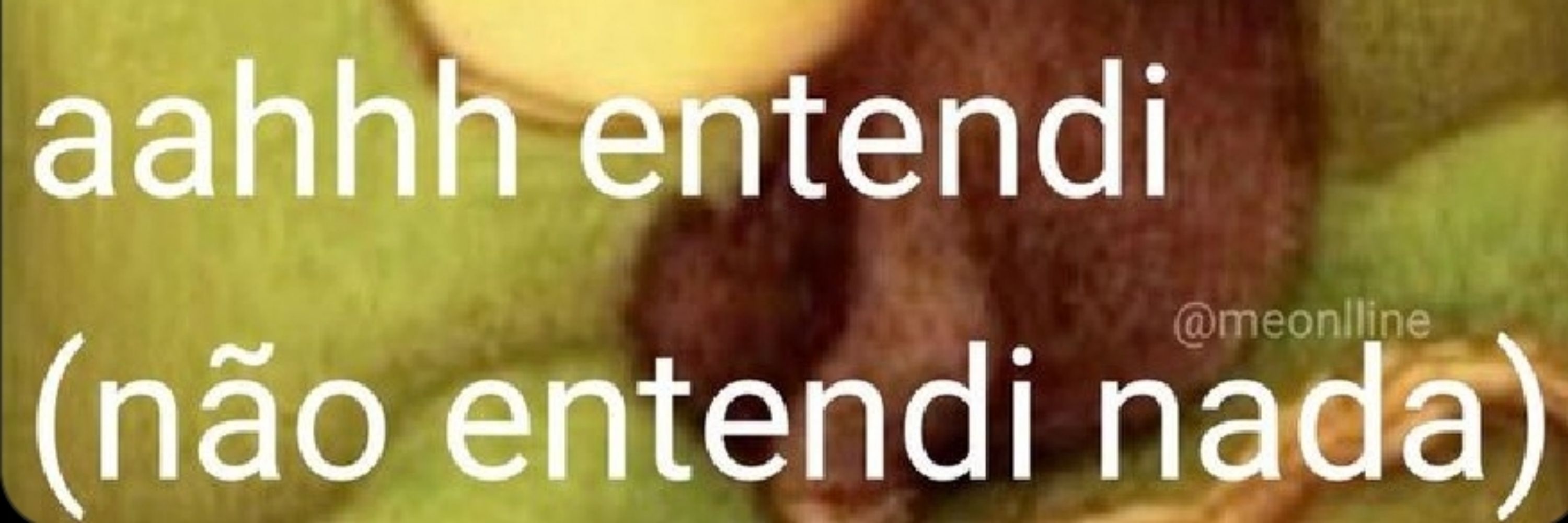 A MAE TA ENJAULADA